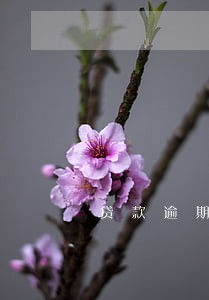 贷款逾期 银行看义务提醒吗 贷款逾期 银行看义务提醒吗